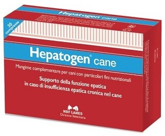 Dove acquistare Manichini per rianimazione online?