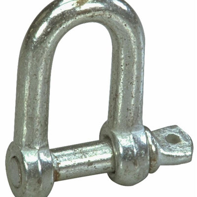 Dove acquistare Grilli per vericelli online?