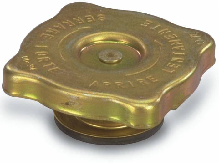 Dove acquistare Tappi serbatoio carburante per Auto online?