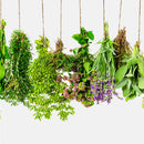 Erbe aromatiche e spezie