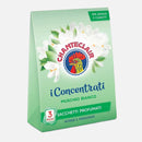 Deodoranti per interni