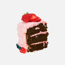 Torte al cioccolato