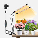 Lampade da coltivazione indoor