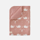 Copertine e lenzuolini