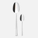 Cucchiai e cucchiaini