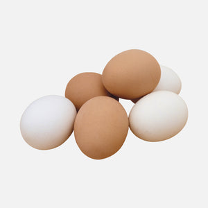 Uova e sostituti delle uova
