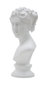 Scultura romana stile museo in poliresina colore bianco per decorazioni ambienti