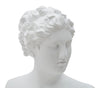Scultura romana stile museo in poliresina colore bianco per decorazioni ambienti