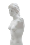Scultura romana stile museo in poliresina colore bianco per decorazioni ambienti