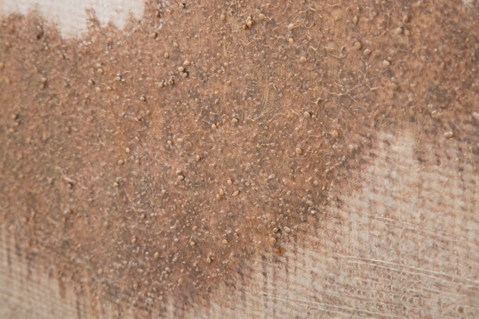 Dipinto su tela Browny con telaio in legno per decorazioni ambienti