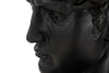 Scultura testa antica romana in poliresina per decorazioni ambienti