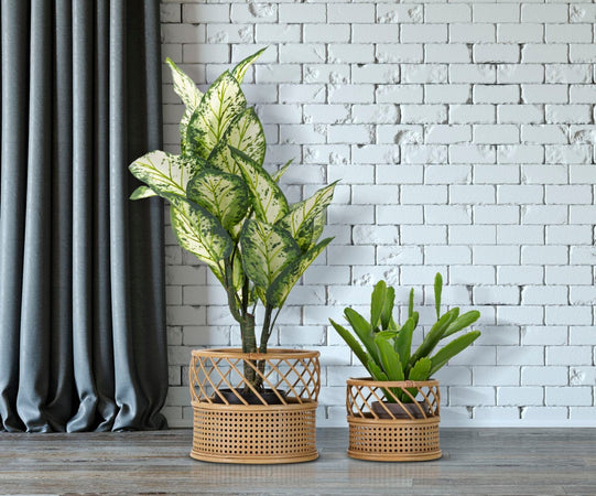 Porta vasi "Panama" in metallo con finiture in rattan per interni set da 2