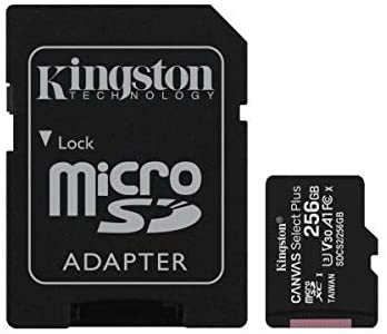 TRANS FLASH 256 GB CANVAS SELECT PLUS (SDCS2/256GB) CLASS 10