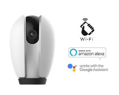 TELECAMERA SORVEGLIANZA TY-WCS4S WI-FI SPEED 4S PAN&TILT