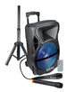 Box Amplificato 600w Pmpo Con Radiomicrofono - Woofer 12 - Dimensioni 345 X 520 X 280 mm