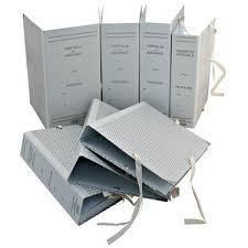 CARTELLA FALDONE ARCHIVIO CON LACCI - DORSO 15 (91080) - 1 PEZZO