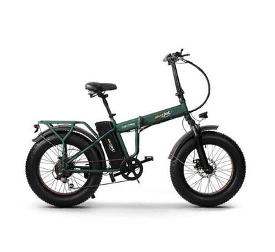 BICI ELETTRICA CON PEDALATA ASSISTITA FAT BIKE SKYJET 20 NITRO - 250W - VERDE