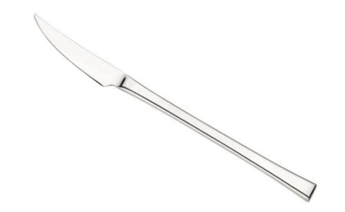PINTINOX - CONFEZIONE DA 12 PEZZI - COLTELLO DA FRUTTA CONCEPT 19,2CM - IN ACCIAIO INOSSIDABILE