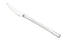 PINTINOX - CONFEZIONE DA 12 PEZZI - COLTELLO DA FRUTTA CONCEPT 19,2CM - IN ACCIAIO INOSSIDABILE