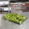 CAMBRO - CONTENITORE PER ALIMENTI FOOD PANS IN POLICARBONATO TRASPARENTE - FORMA RETTANGOLARE BASSA - 1/1x2 65MM