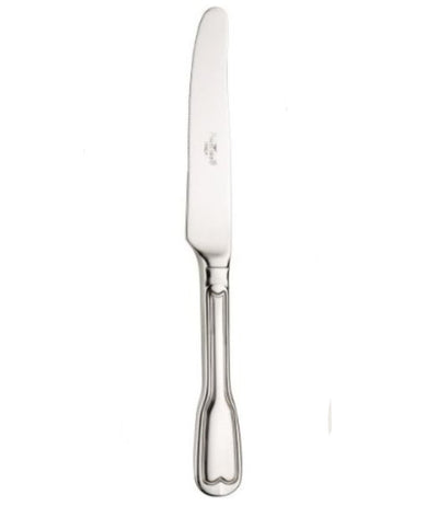 PINTI INOX - CONFEZIONE DA 12 PEZZI - COLTELLO DA DESSERT/FRUTTA VETTORIALE 21,5CM - IN ACCIAIO INOSSIDABILE