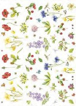 CALAMBOUR - FOGLIO DI CARTA DECOUPAGE CAL 232
