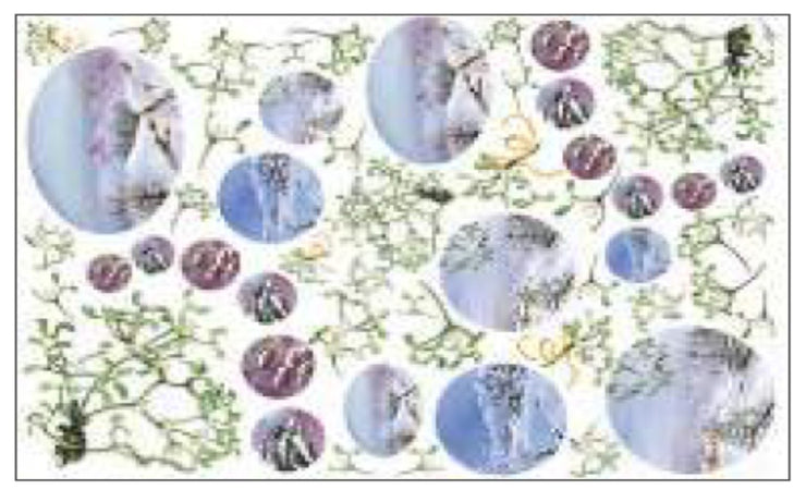 CALAMBOUR - FOGLIO DI CARTA DECOUPAGE "DECO EASY - DE 04"