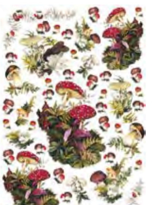 CALAMBOUR - FOGLIO DI CARTA DECOUPAGE CAL 247