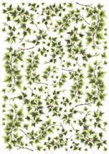 CALAMBOUR - FOGLIO DI CARTA DI RISO 34,5x49,5CM - "PAU 19"