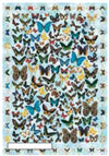 CALAMBOUR - CARTA DECOUPAGE CAL 58