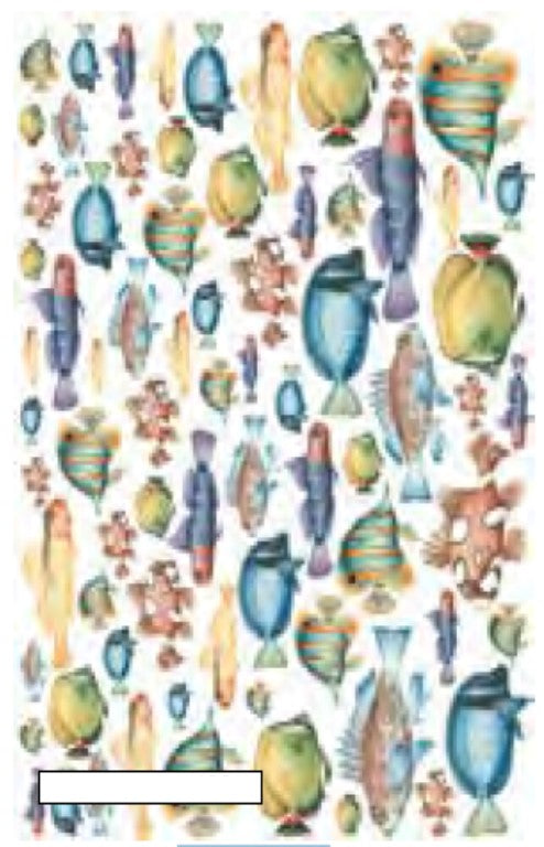CALAMBOUR - CARTA DECOUPAGE CAL 120\F