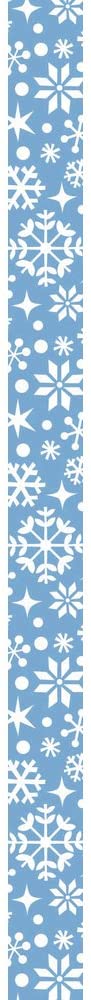 RAYHER - NASTRO IN TESSUTO FABRIC TAPE 15MMx5MT - FIOCCHI DI NEVE