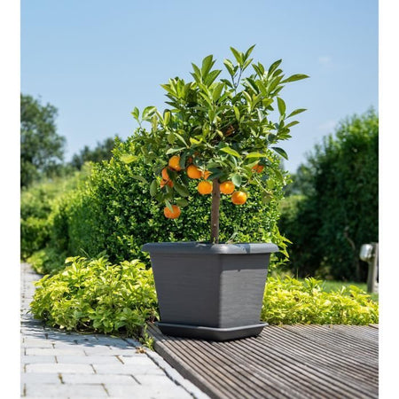 Vaso da fiori quadrato - GARDEN ID - Teramo nero-antracite - 40 x 35 cm - Antigraffio - Effetto pietra - Con fori