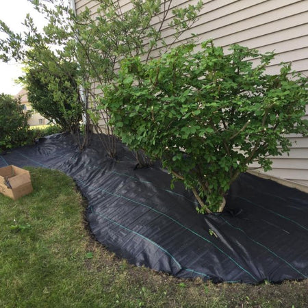 Telo professionale per pacciamatura anti alga/ erbacce in polipropilene 210cm x 40m - 100gr/mq