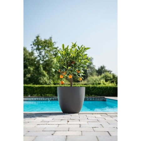 Vaso da fiori - GARDEN ID - Phoenix Antracite - 38 x 34 cm - 100% Riciclato e Riciclabile - Resistente al gelo e ai raggi UV - Per esterni