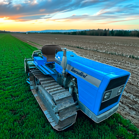 Imbottitura per sedili adattabile a trattori Landini 4500, 5500 e 6500