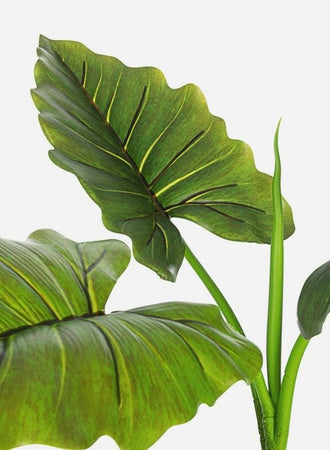 Pianta artificiale "Dieffenbachia" in poliestere con vaso per decorazione ambienti