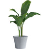 Vaso da fiori - GARDEN ID - Green Care Sense Pietra blu - 30 x 27 cm - Garanzia 10 anni - 100% riciclato - Resistente ai raggi UV e al gelo