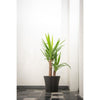 Vaso da fiori - GARDEN ID - Green Care Sense Nero-Antracite - 40 x 34 cm - Garanzia 10 anni - 100% riciclato - Resistente ai raggi UV e al gelo