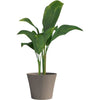 Vaso da fiori - GARDEN ID - Green Care Sense Taupe - 50 x 41 cm - Garanzia 10 anni - 100% riciclato - Resistente ai raggi UV e al gelo