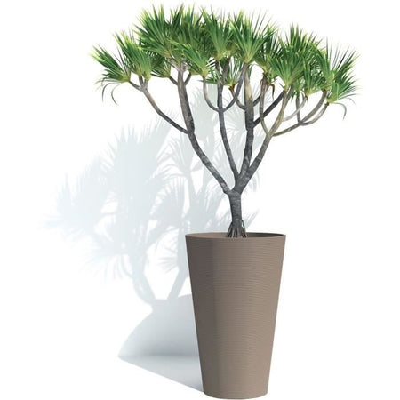 Vaso da fiori alto - GARDEN ID - Green Care Sense Tall Taupe - 55 cm - 10 anni di garanzia - 100% riciclato - Resistente ai raggi UV e al gelo