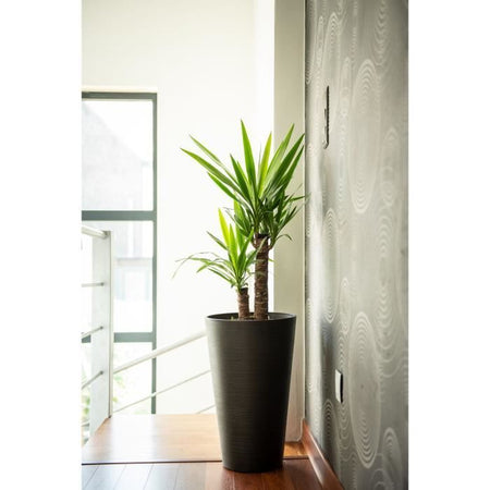 Vaso da fiori alto - GARDEN ID - Green Care Sense Tall Nero-Anthr. - 55 cm - Garantito 10 anni - 100% riciclato - Resistenza ai raggi UV e al gel