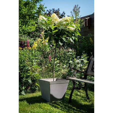Vaso quadrato - GARDEN ID - Green Care Impact Taupe - 29 x 26 cm - Garanzia 10 anni - 100% riciclato - Resistente ai raggi UV/gel