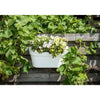 Giardiniera+gancio - GARDEN ID Star - Bianco 50 x 21 cm - Fissaggio facile - Riserva d'acqua - riciclato e riciclabile al 100%