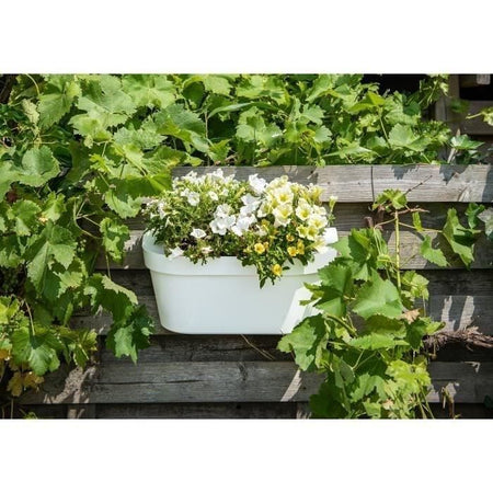 Giardiniera+gancio - GARDEN ID Star - Bianco 50 x 21 cm - Fissaggio facile - Riserva d'acqua - riciclato e riciclabile al 100%