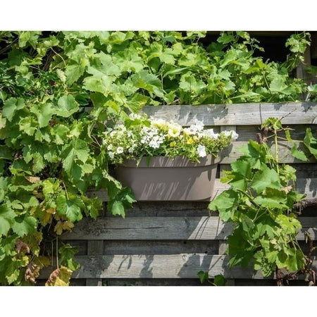 Giardiniera+gancio - GARDEN ID Star - Tortora 50 x 21 cm - Fissaggio facile - Riserva d'acqua - riciclato e riciclabile al 100%