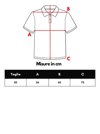 Gran Sasso Camicia Coreana in Lino Rosso da uomo
