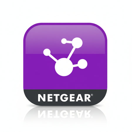 Netgear insight pro 1 anno/i - NPR10PK1-10000S