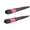 Cavo Patch a 12 Fibre MTP-F/MTP-F OM4 Code B 3 metri