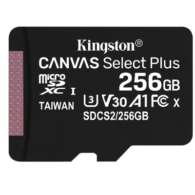Kingston technology scheda micsdxc canvas select plus 100r a1 c10 da 256gb confezione singola senza adattatore - SDCS2/256GBSP